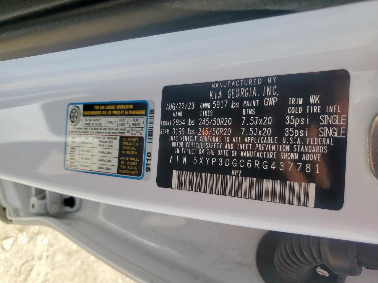 2024 Kia Telluride Ex VIN: 5XYP3DGC6RG437781 Lot: 82384725