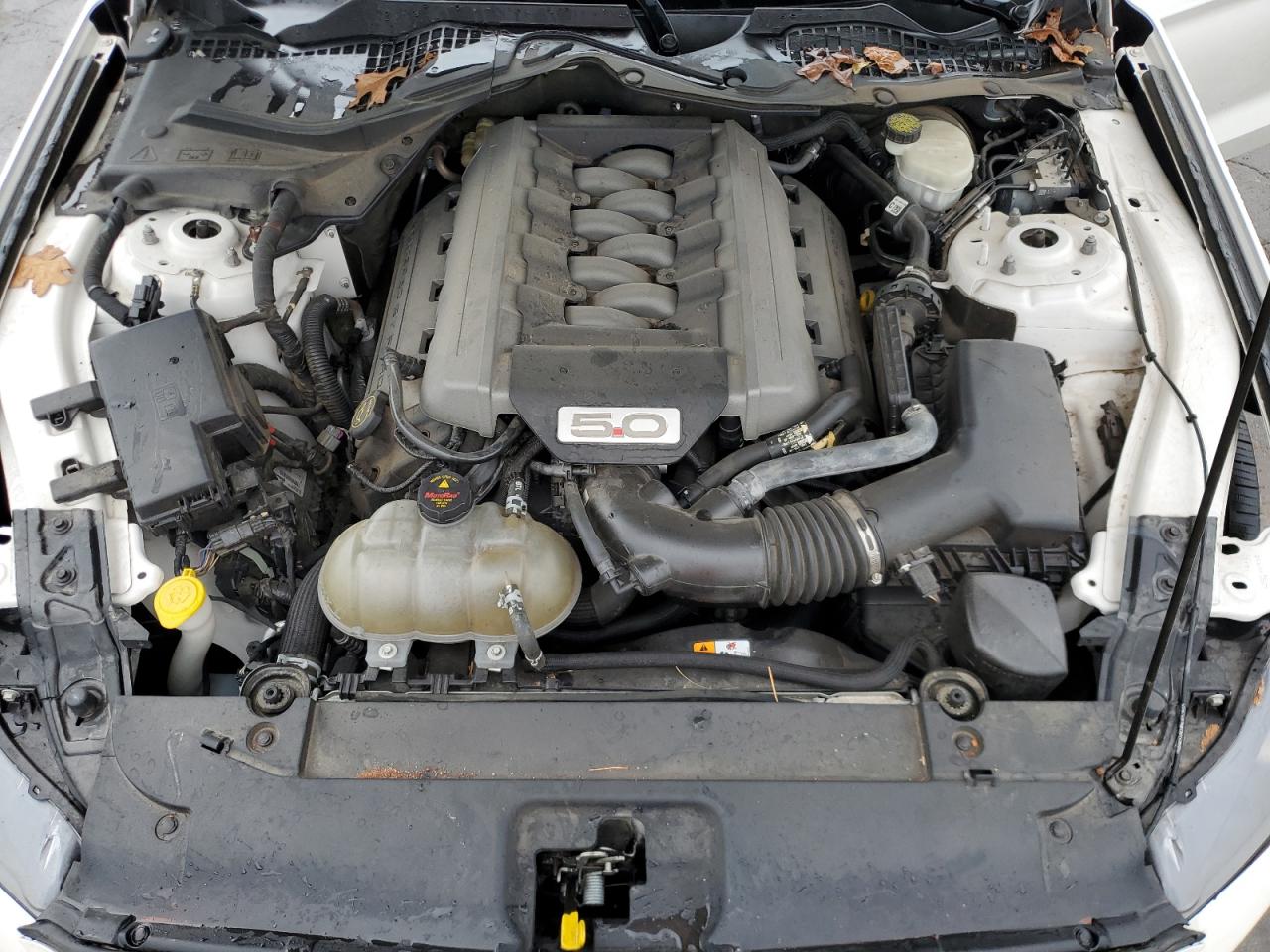 2017 Ford Mustang Gt VIN: 1FA6P8CF5H5263142 Lot: 85313085