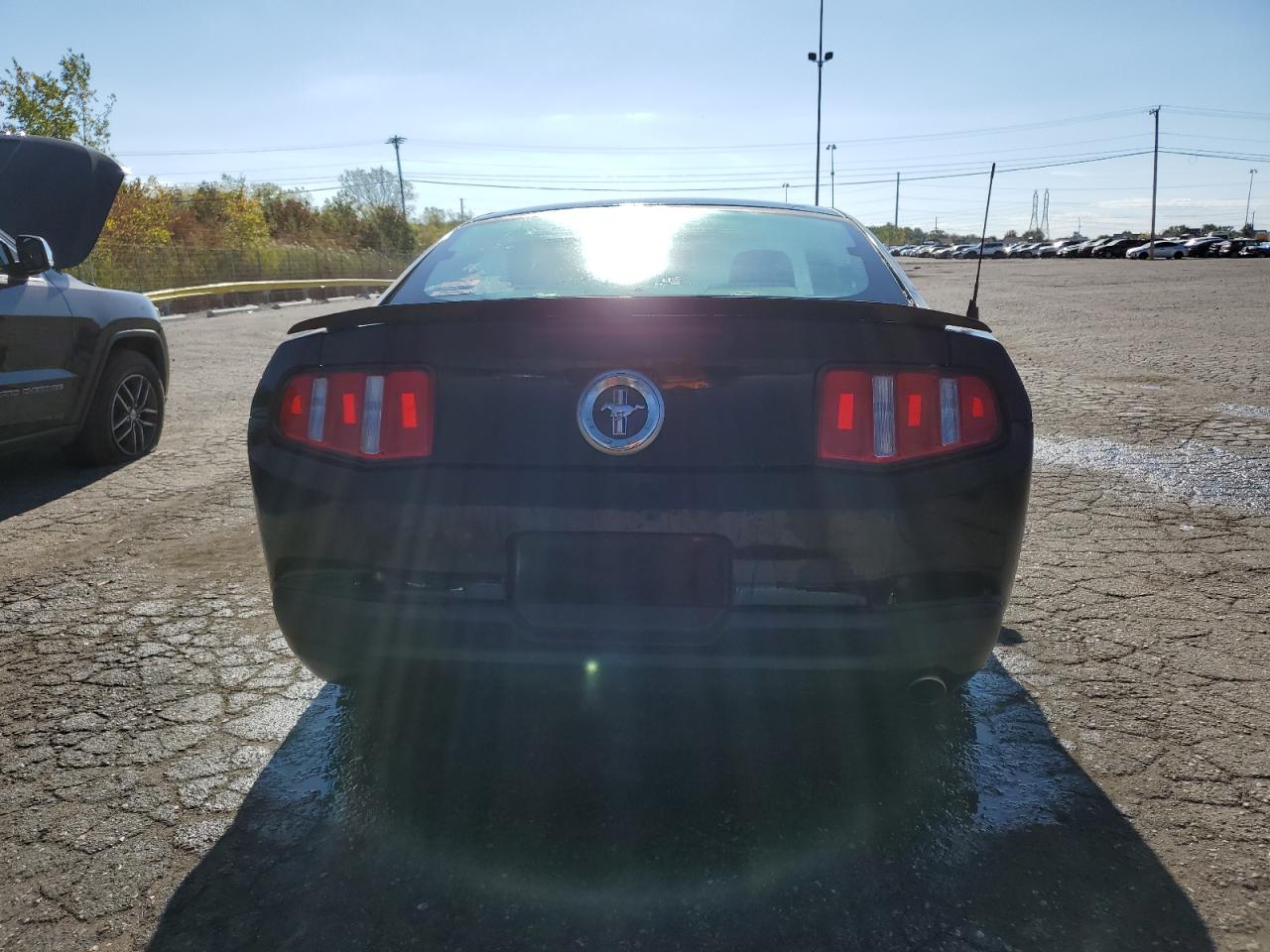 2010 Ford Mustang VIN: 1ZVBP8AN9A5117767 Lot: 80802565