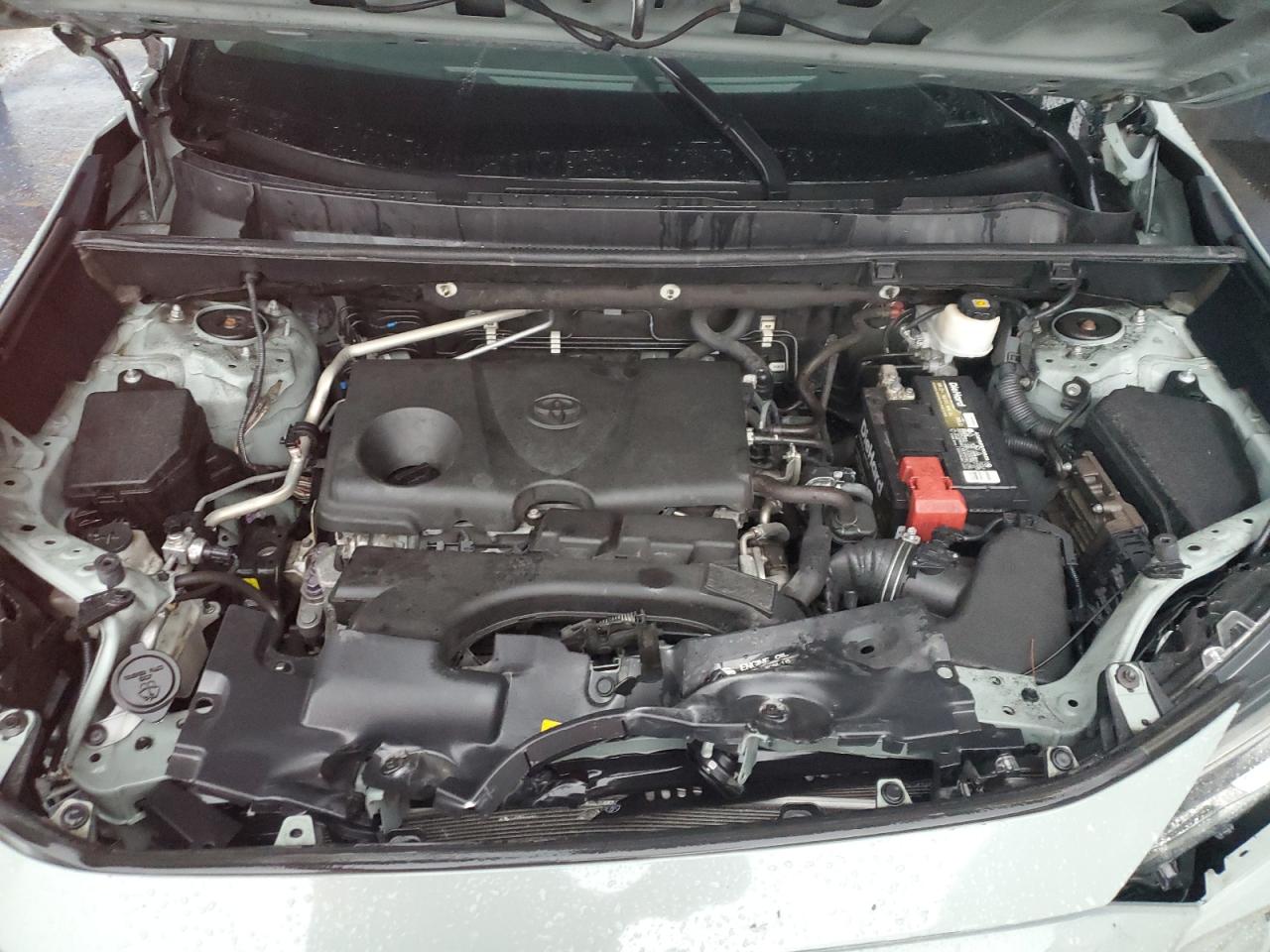 2019 Toyota Rav4 Xle VIN: 2T3W1RFV6KW002462 Lot: 85666575