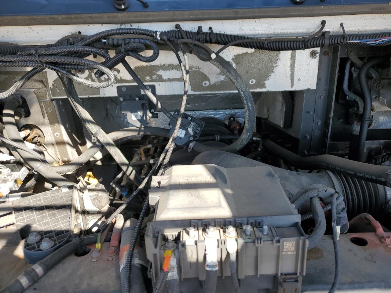 Фото: 1F65F5KN1L0A03717