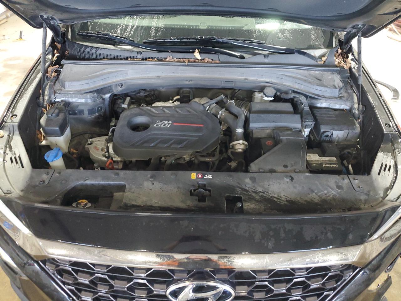 2019 Hyundai Santa Fe Limited VIN: 5NMS5CAA4KH018006 Lot: 85502555