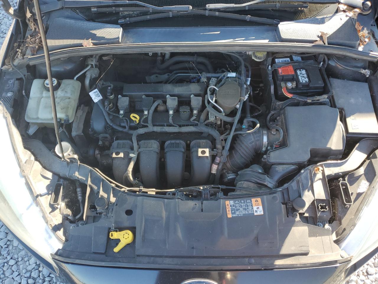 2016 Ford Focus Se VIN: 1FADP3F26GL285714 Lot: 86194135