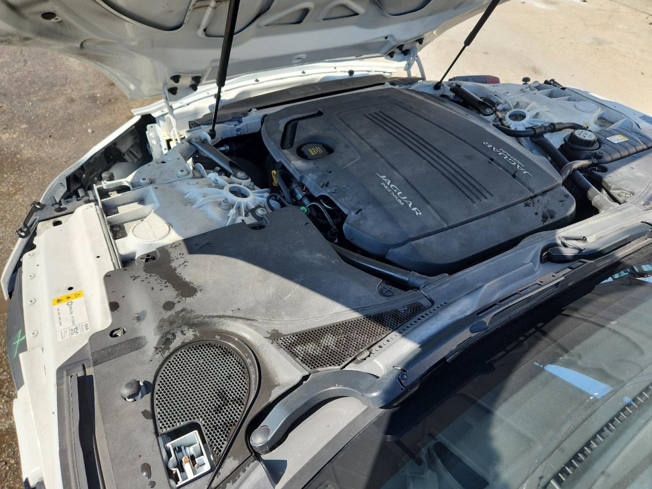 2019 Jaguar F-Type VIN: SAJDD1GX1KCK59906 Lot: 85175625