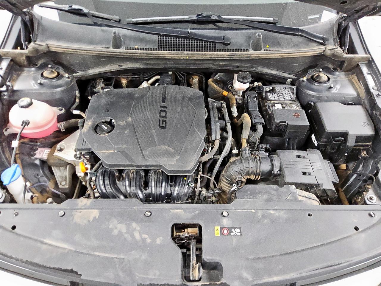 2023 Kia Sportage Ex VIN: 5XYK33AF3PG094531 Lot: 84876335