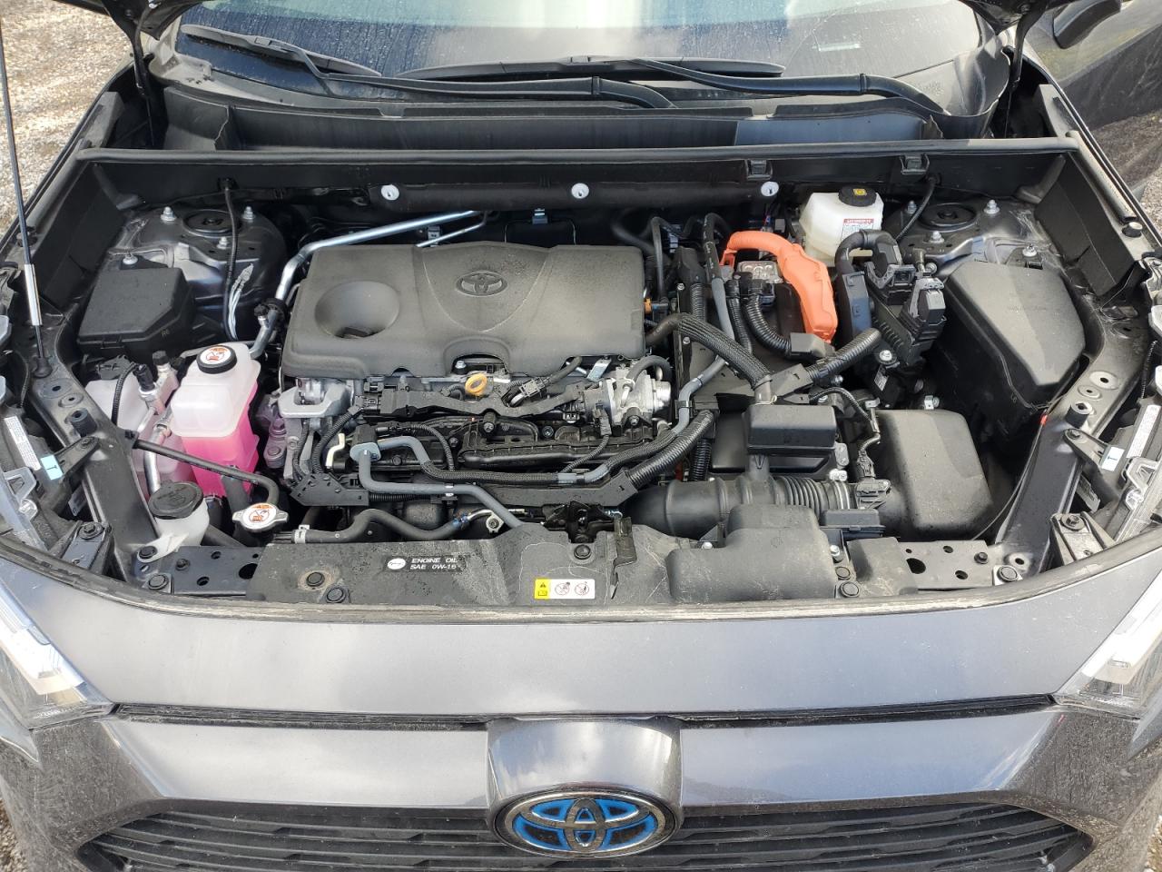 2024 Toyota Rav4 Xle VIN: 2T3RWRFV3RW234588 Lot: 85847325