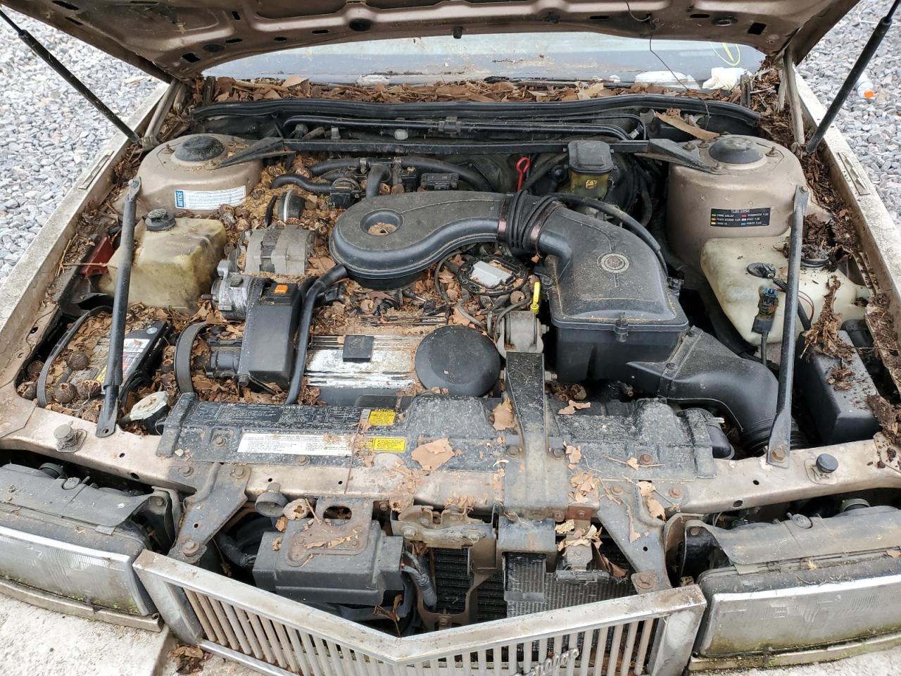 1989 Cadillac Eldorado VIN: 1G6EL1156KU610304 Lot: 86273295