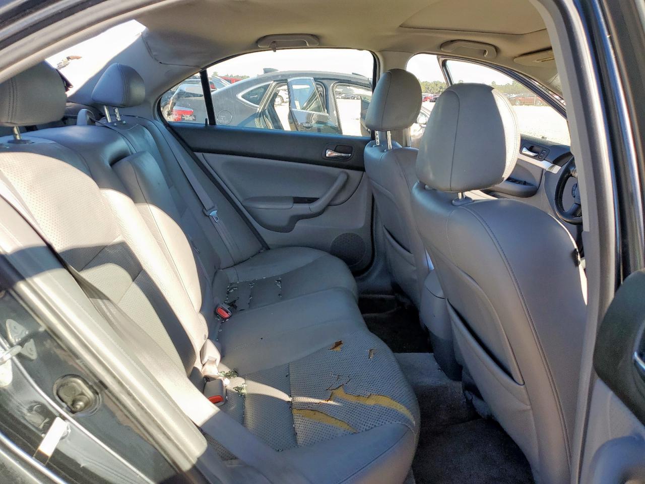 2006 Acura Tsx VIN: JH4CL96886C023019 Lot: 90373765