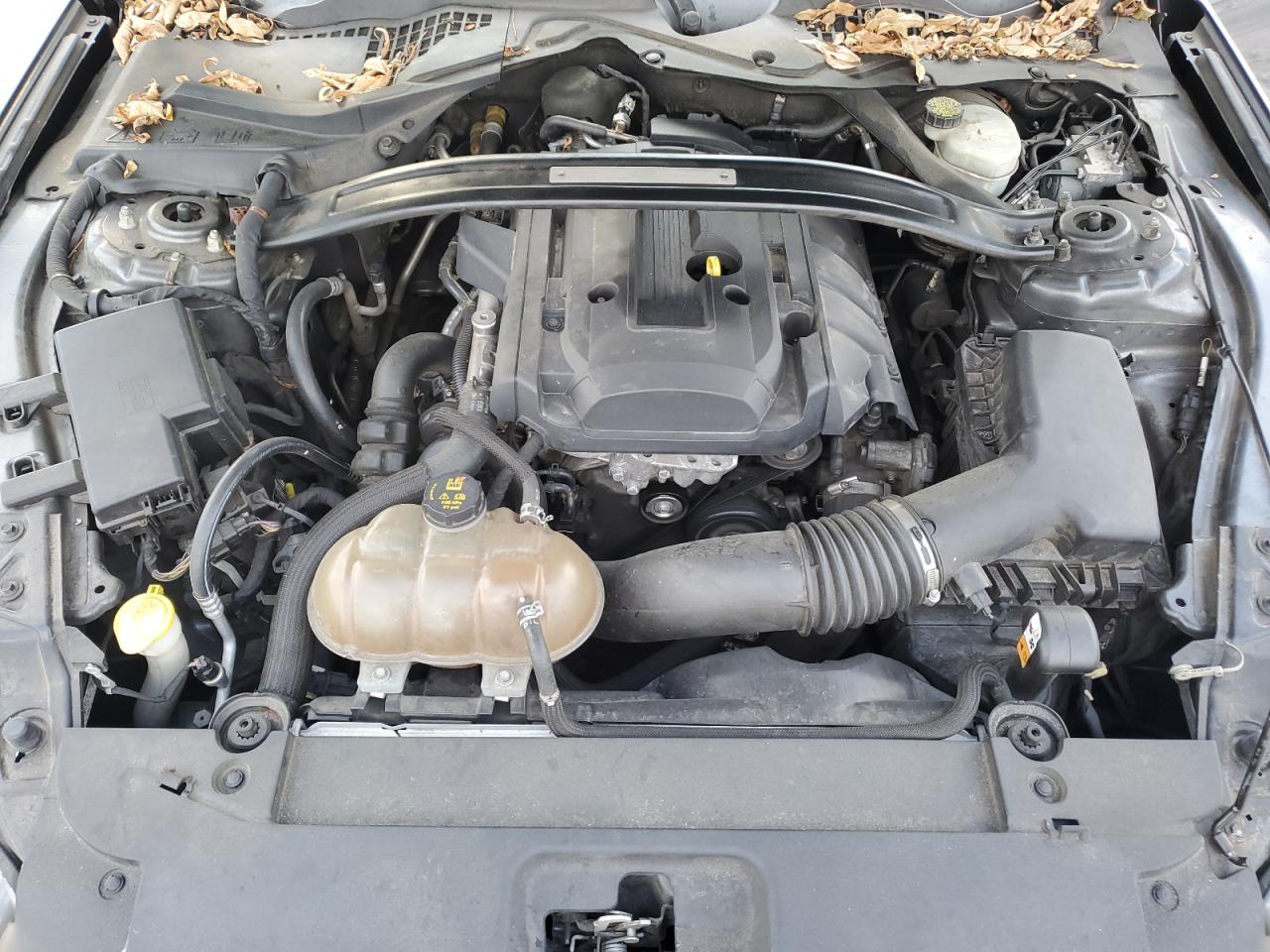 2015 Ford Mustang VIN: 1FA6P8TH5F5317327 Lot: 85902905