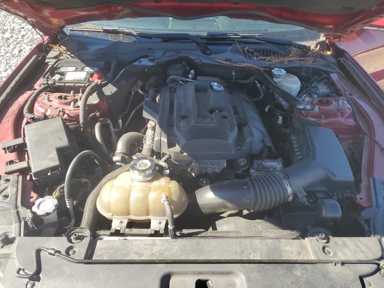 2016 Ford Mustang VIN: 1FATP8UH8G5292085 Lot: 82539975