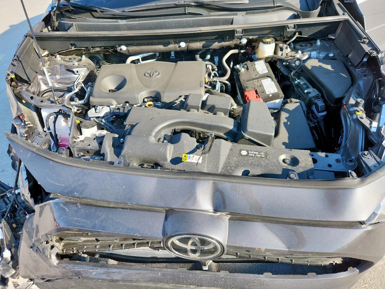 2025 Toyota Rav4 Xle VIN: 2T3W1RFV8SW401907 Lot: 82453525