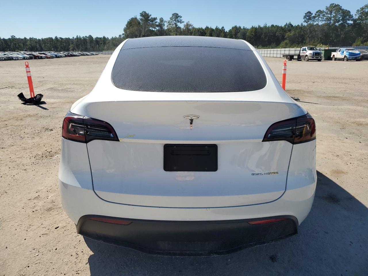 2023 Tesla Model Y VIN: 7SAYGAEE7PF877589 Lot: 87102585