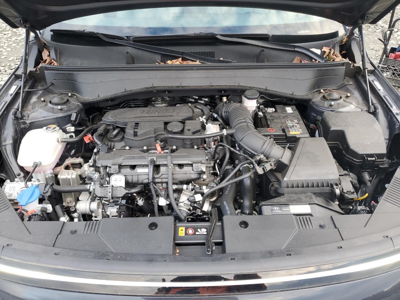 2024 Hyundai Kona Limited VIN: KM8HECA37RU159825 Lot: 82634335