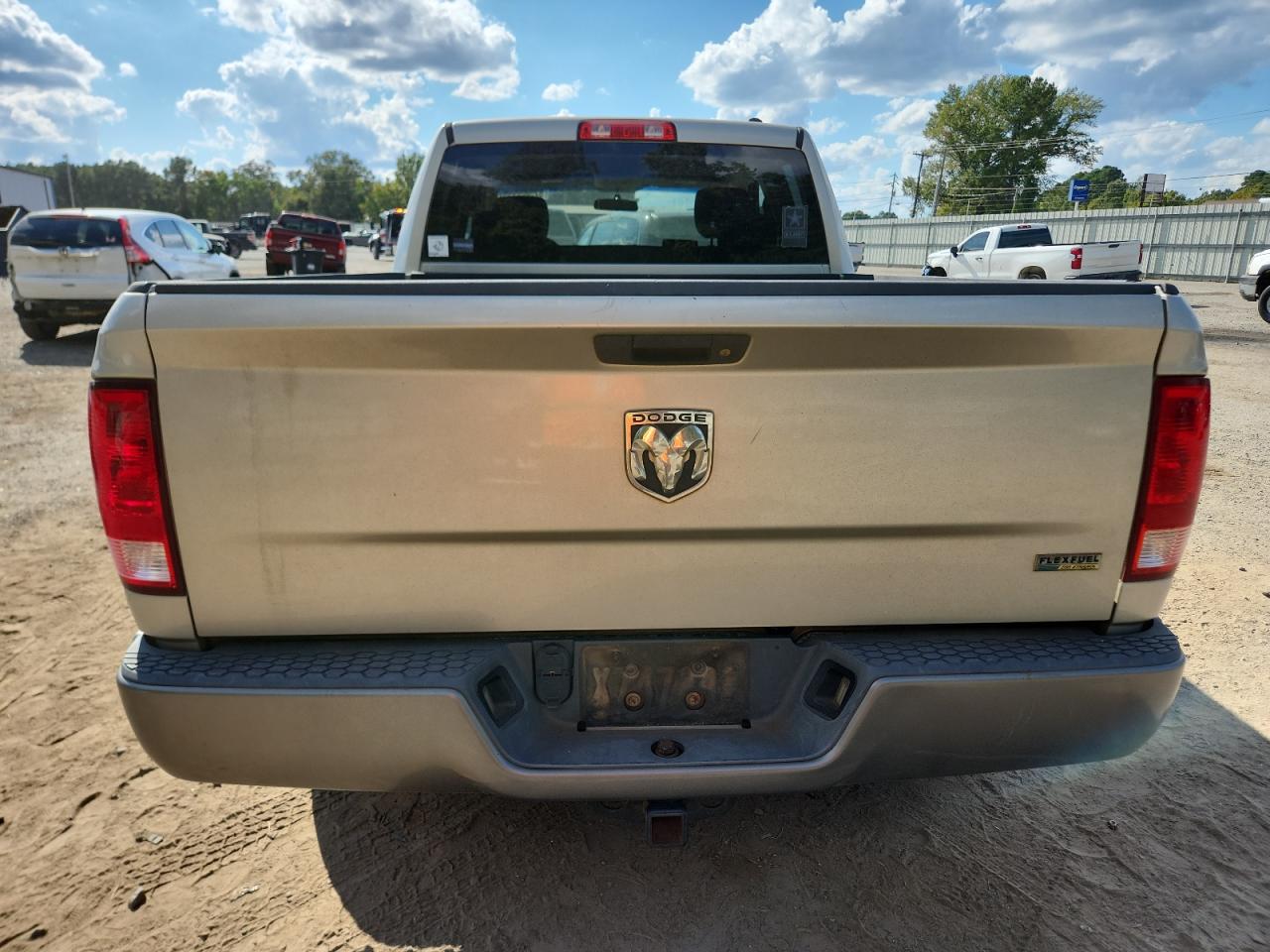 2010 Dodge Ram 1500 VIN: 1D7RB1GP2AS245498 Lot: 82585555