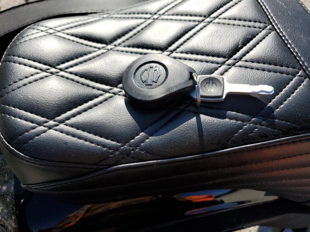 2020 Harley-Davidson Fxlrs VIN: 1HD1YWK11LB060737 Lot: 85485665