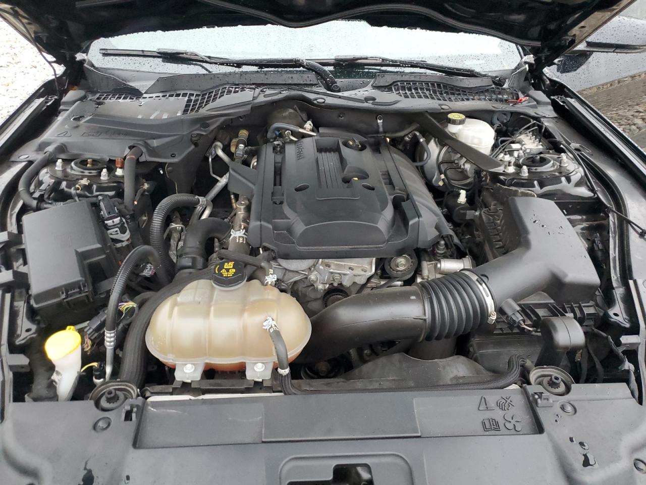 2019 Ford Mustang VIN: 1FATP8UH4K5178884 Lot: 82293825