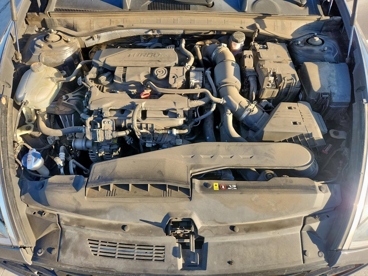 2020 Hyundai Sonata Sel Plus VIN: 5NPEJ4J21LH031484 Lot: 86283985