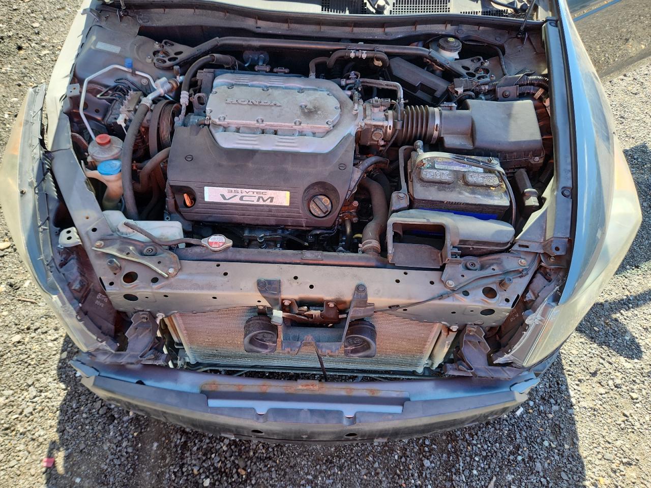 2011 Honda Accord Exl VIN: 1HGCP3F89BA010838 Lot: 84919565