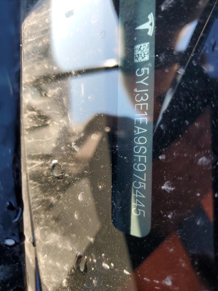 2025 Tesla Model 3 VIN: 5YJ3E1EA9SF975445 Lot: 87182635