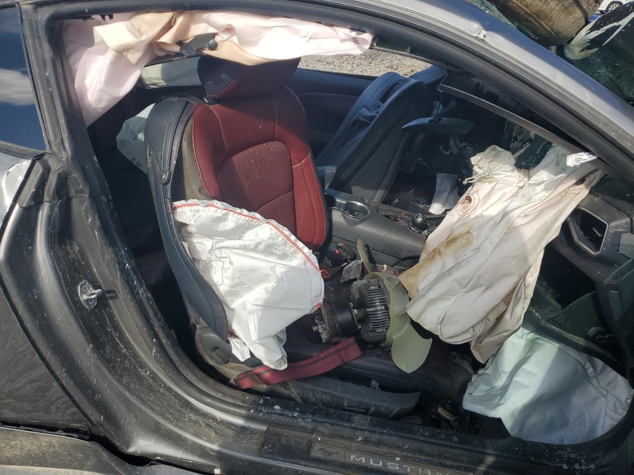 2024 Ford Mustang Gt VIN: 1FA6P8CF8R5406070 Lot: 90308565