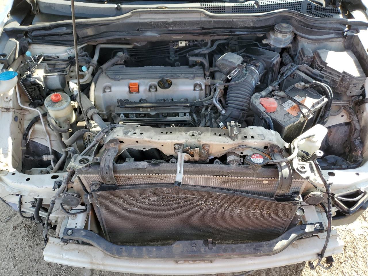 2010 Honda Cr-V Exl VIN: 5J6RE4H74AL069009 Lot: 90450055