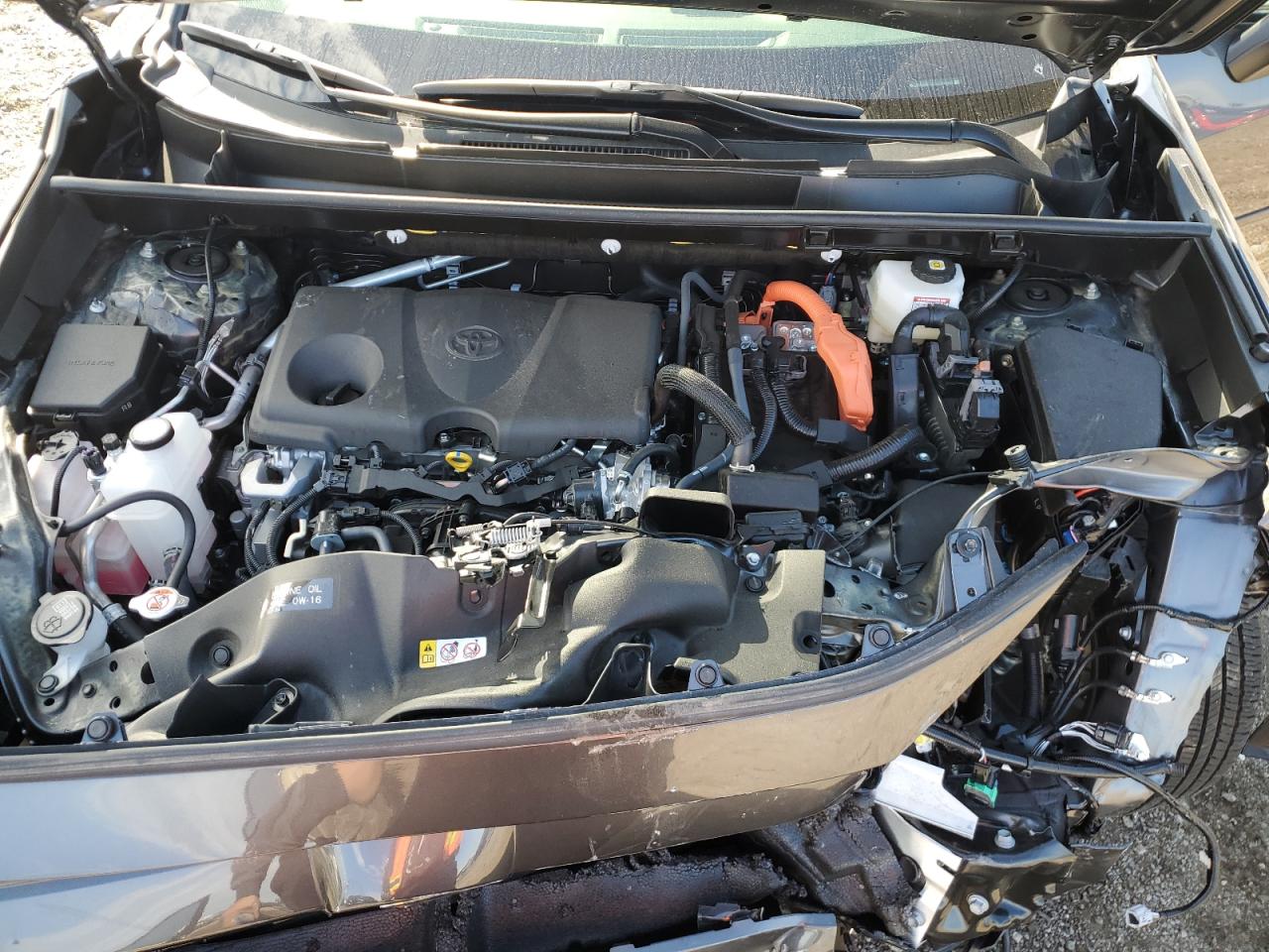 2025 Toyota Rav4 Xse VIN: JTME6RFV1SJ074665 Lot: 82300745