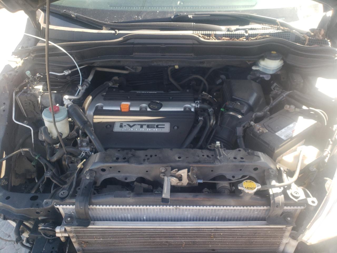 2007 Honda Cr-V Exl VIN: JHLRE48737C064935 Lot: 84534565