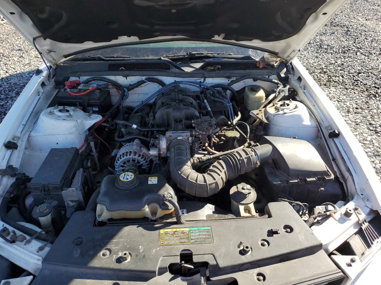 2006 Ford Mustang VIN: 1ZVFT80N365111825 Lot: 90882075