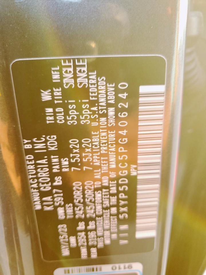 2023 Kia Telluride Sx VIN: 5XYP5DGC5PG406240 Lot: 84829225