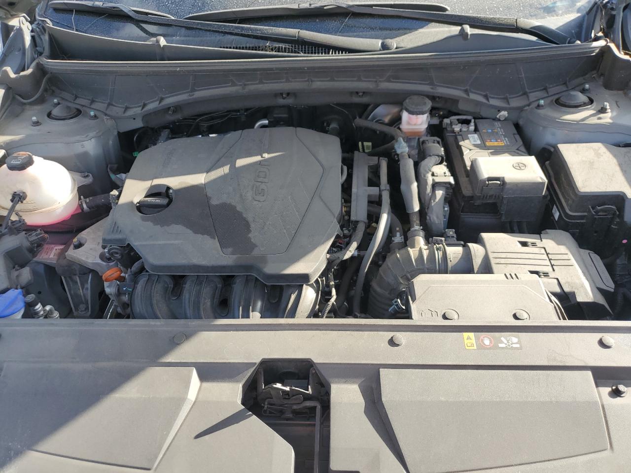 2024 Hyundai Santa Cruz Sel VIN: 5NTJB4DEXRH103052 Lot: 81940565