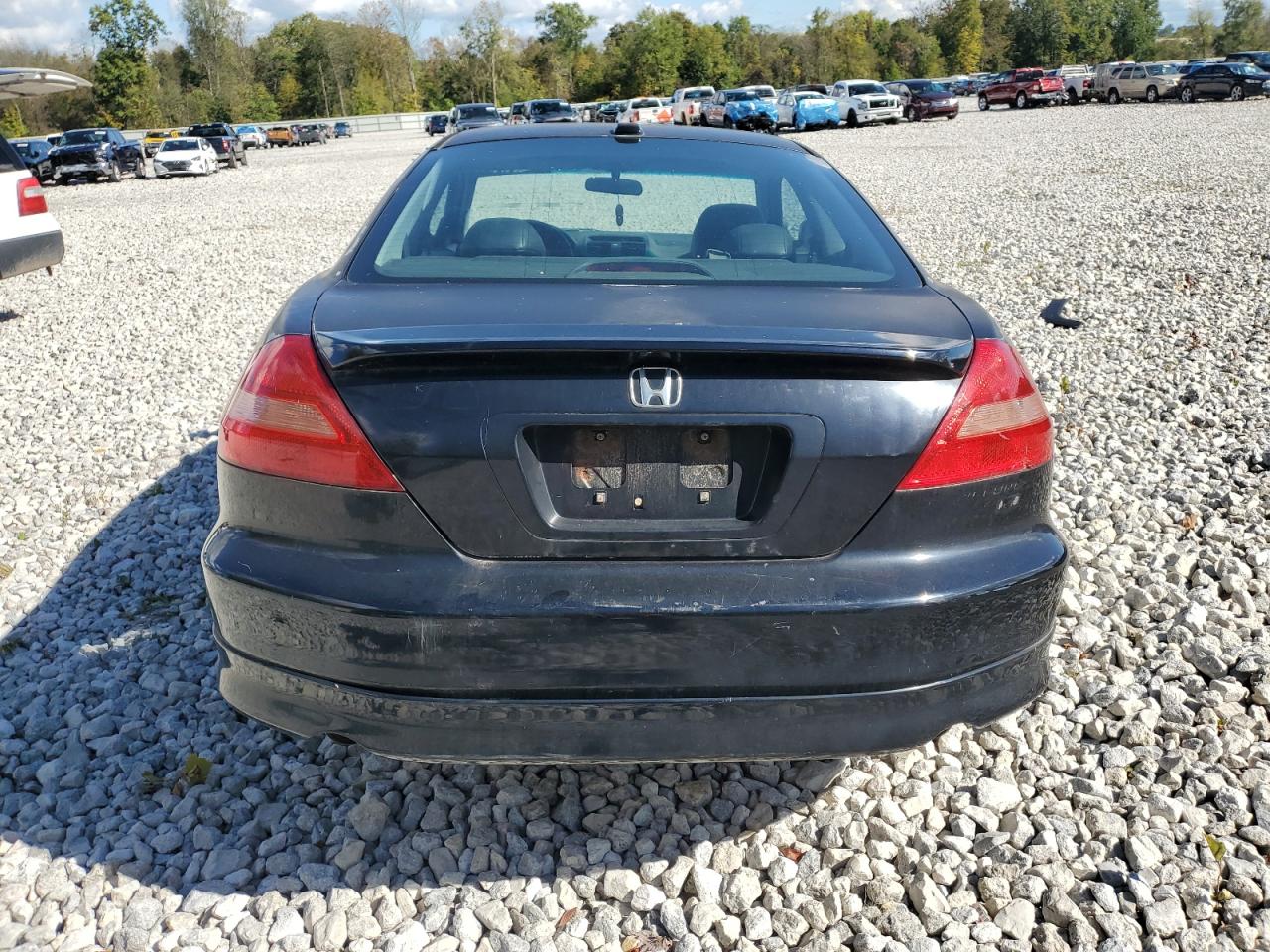 2004 Honda Accord Ex VIN: 1HGCM81774A021456 Lot: 81197385