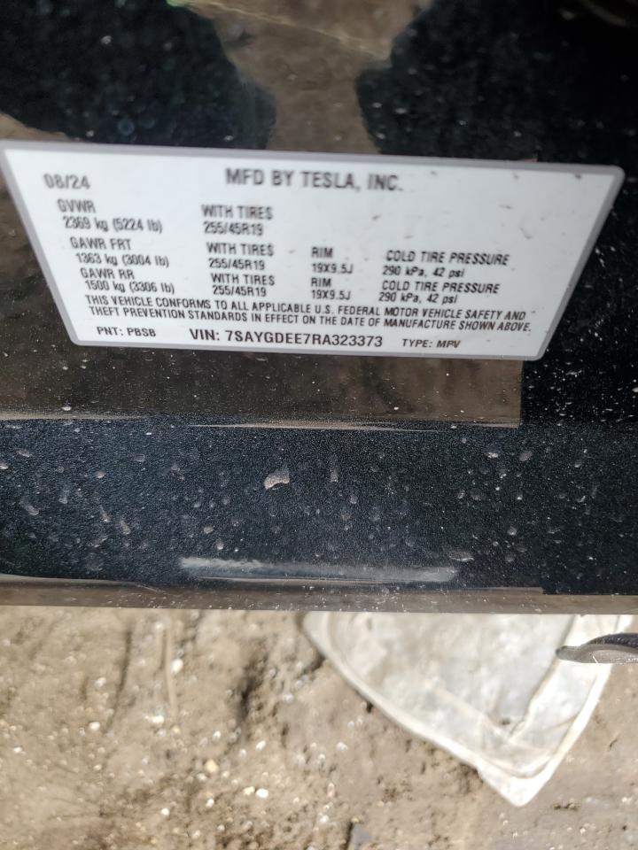 2024 Tesla Model Y VIN: 7SAYGDEE7RA323373 Lot: 81955545