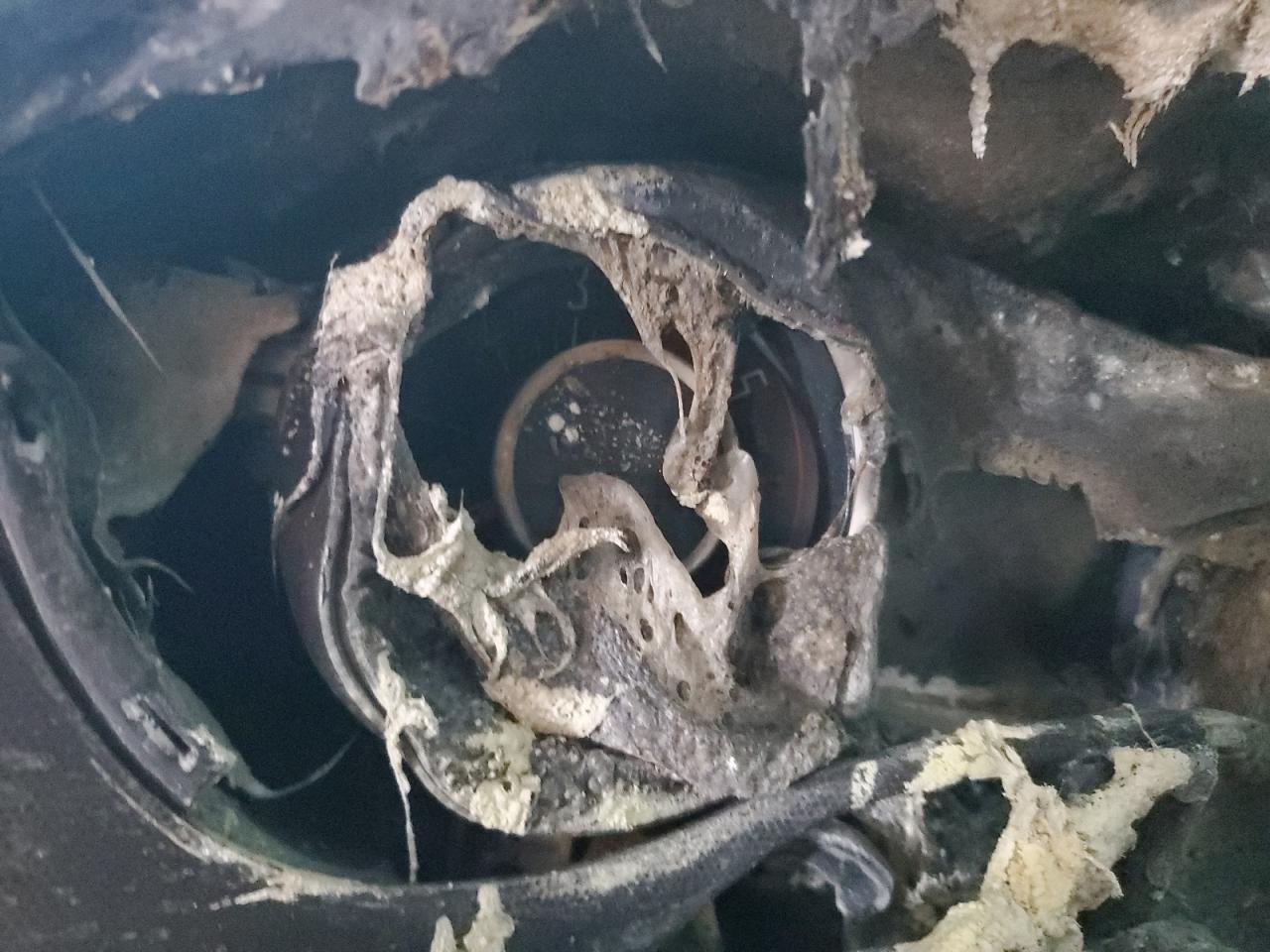 2015 Dodge Challenger Sxt Plus VIN: 2C3CDZBT4FH775293 Lot: 82747055