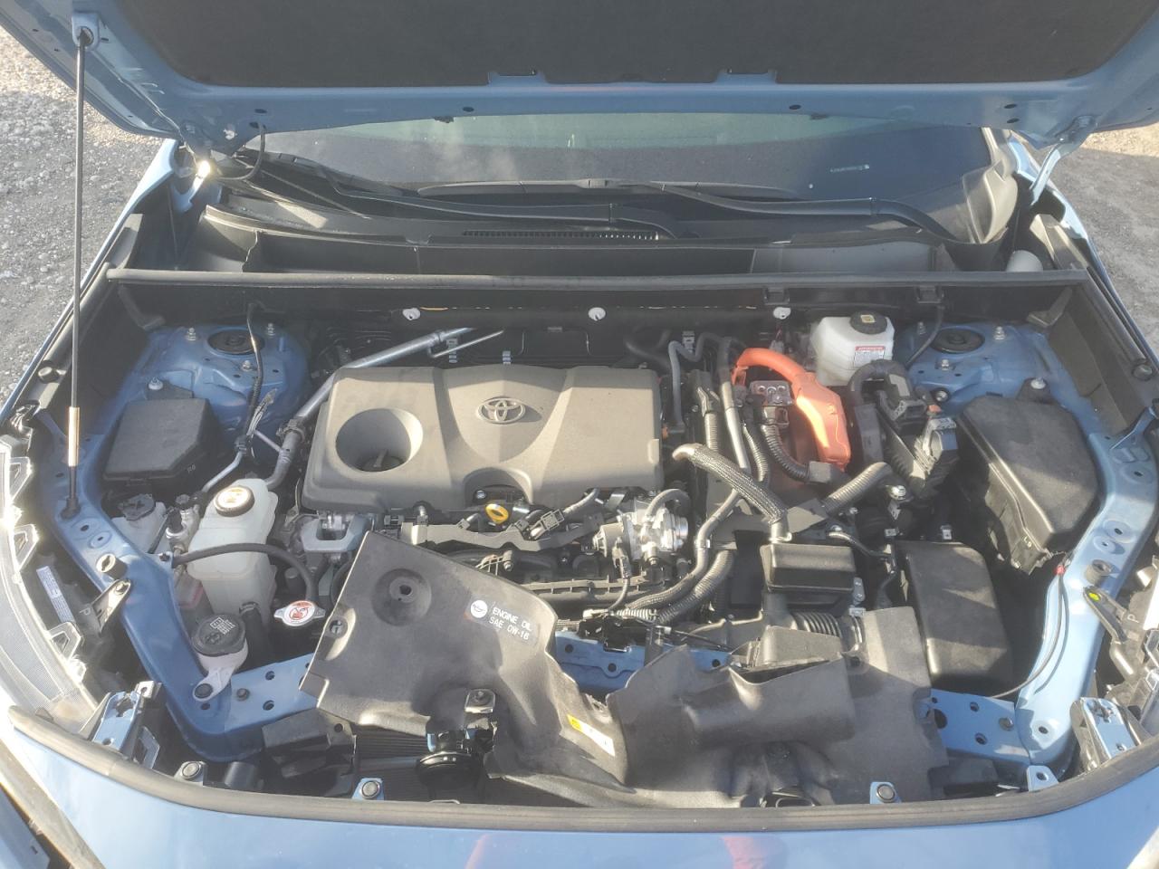 2024 Toyota Rav4 Xse VIN: JTME6RFV3RD561181 Lot: 82175295