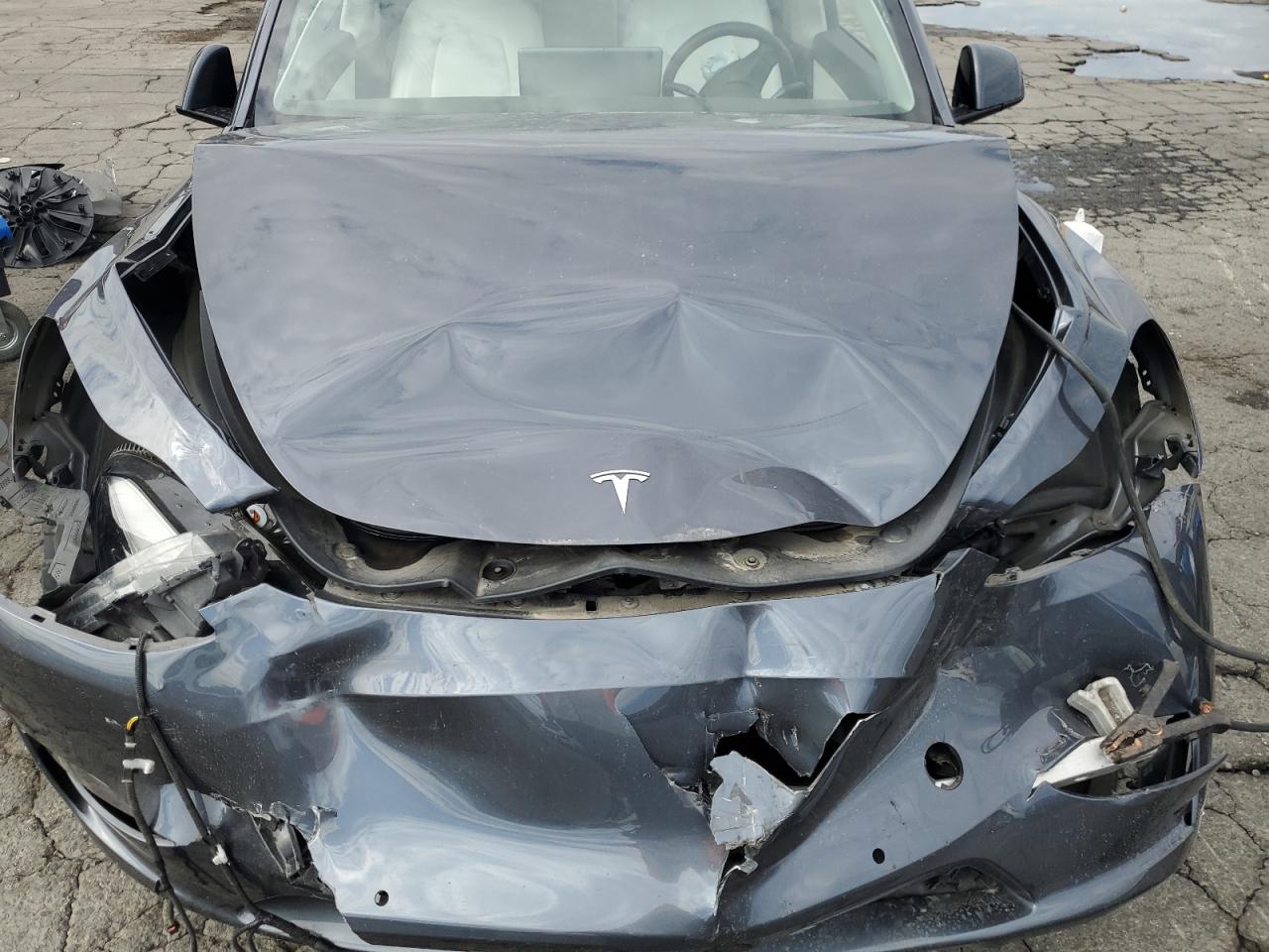 2022 Tesla Model Y VIN: 7SAYGAEEXNF402192 Lot: 82283335