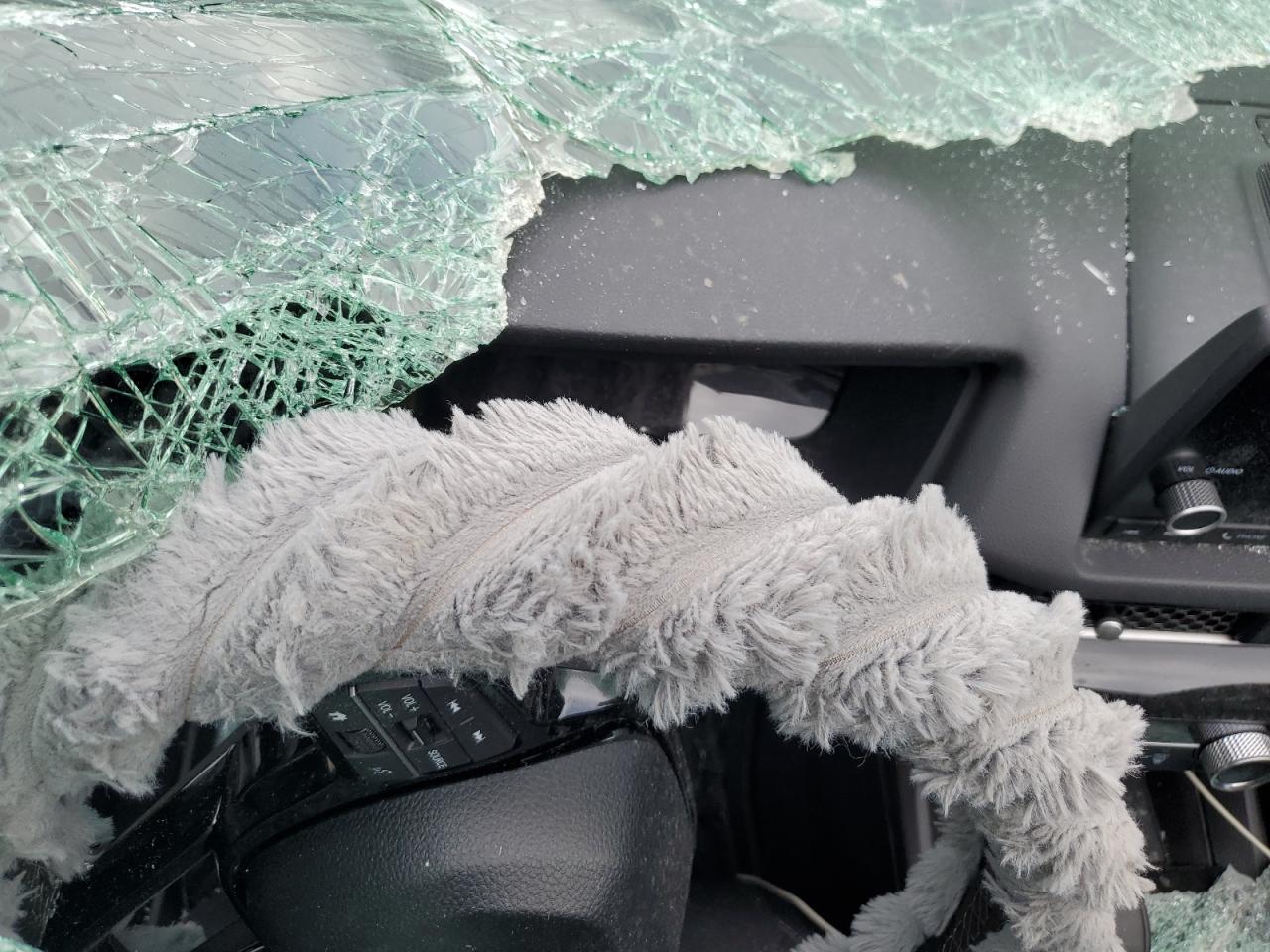 2025 Honda Civic Sport VIN: 2HGFE2F59SH592024 Lot: 85523645