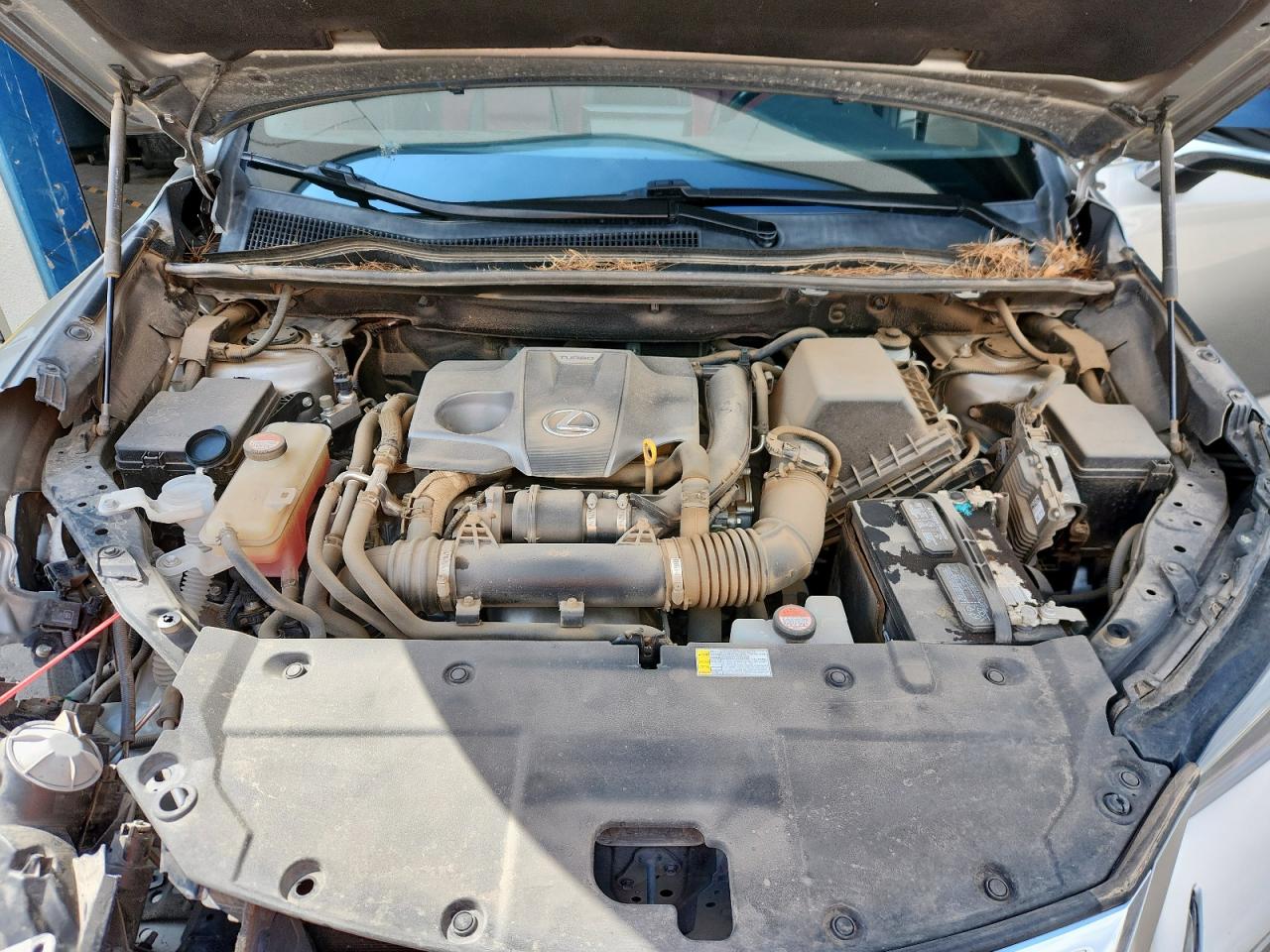 2016 Lexus Nx 200T Base VIN: JTJYARBZ5G2033877 Lot: 82501245