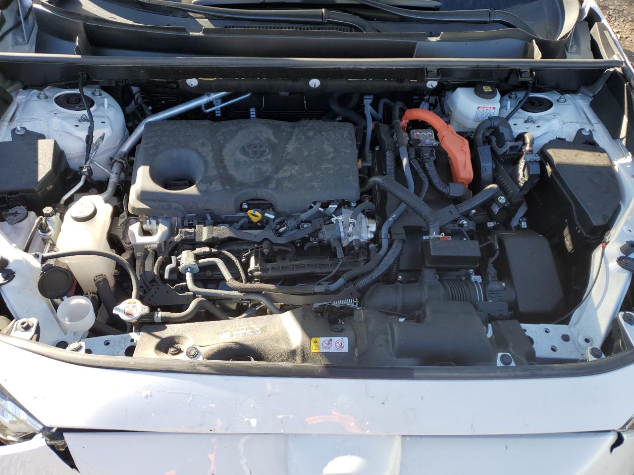 2023 Toyota Rav4 Xle VIN: JTMRWRFV0PD184968 Lot: 82388235