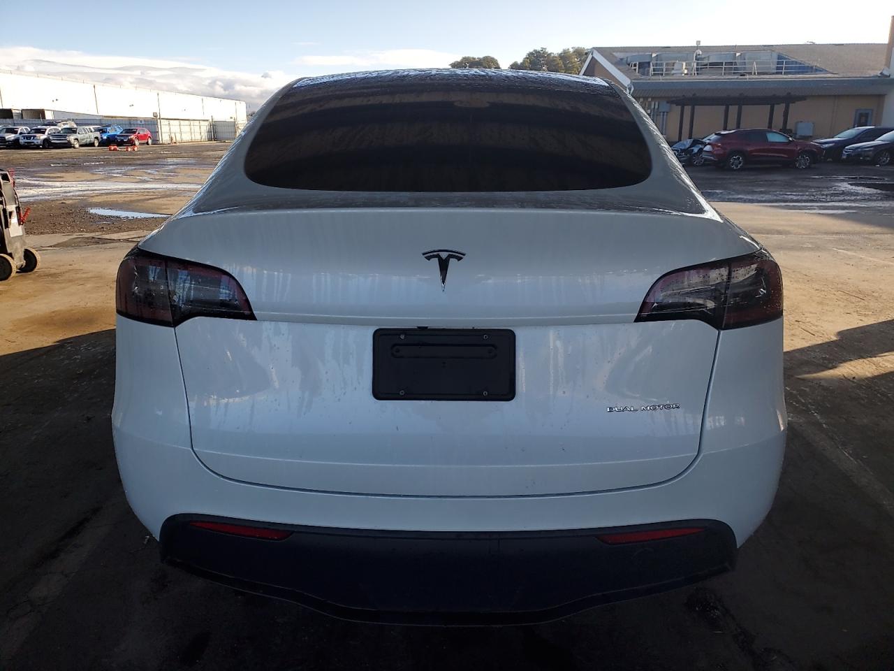 2023 Tesla Model Y VIN: 7SAYGDEE0PF674920 Lot: 84989725