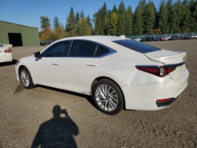  LEXUS ES300 2019 Белы