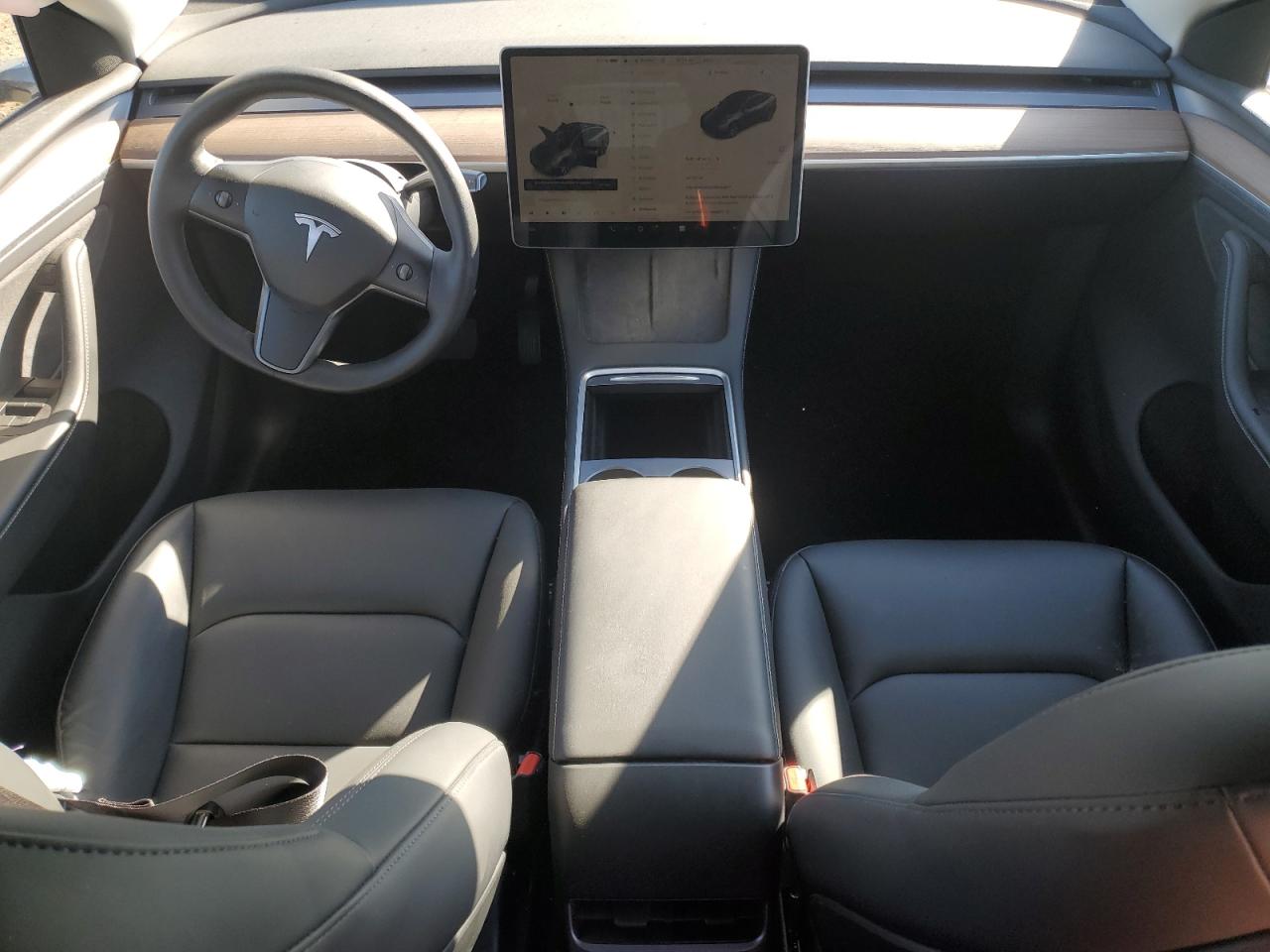 2023 Tesla Model Y VIN: 7SAYGDEE1PA155517 Lot: 82743245