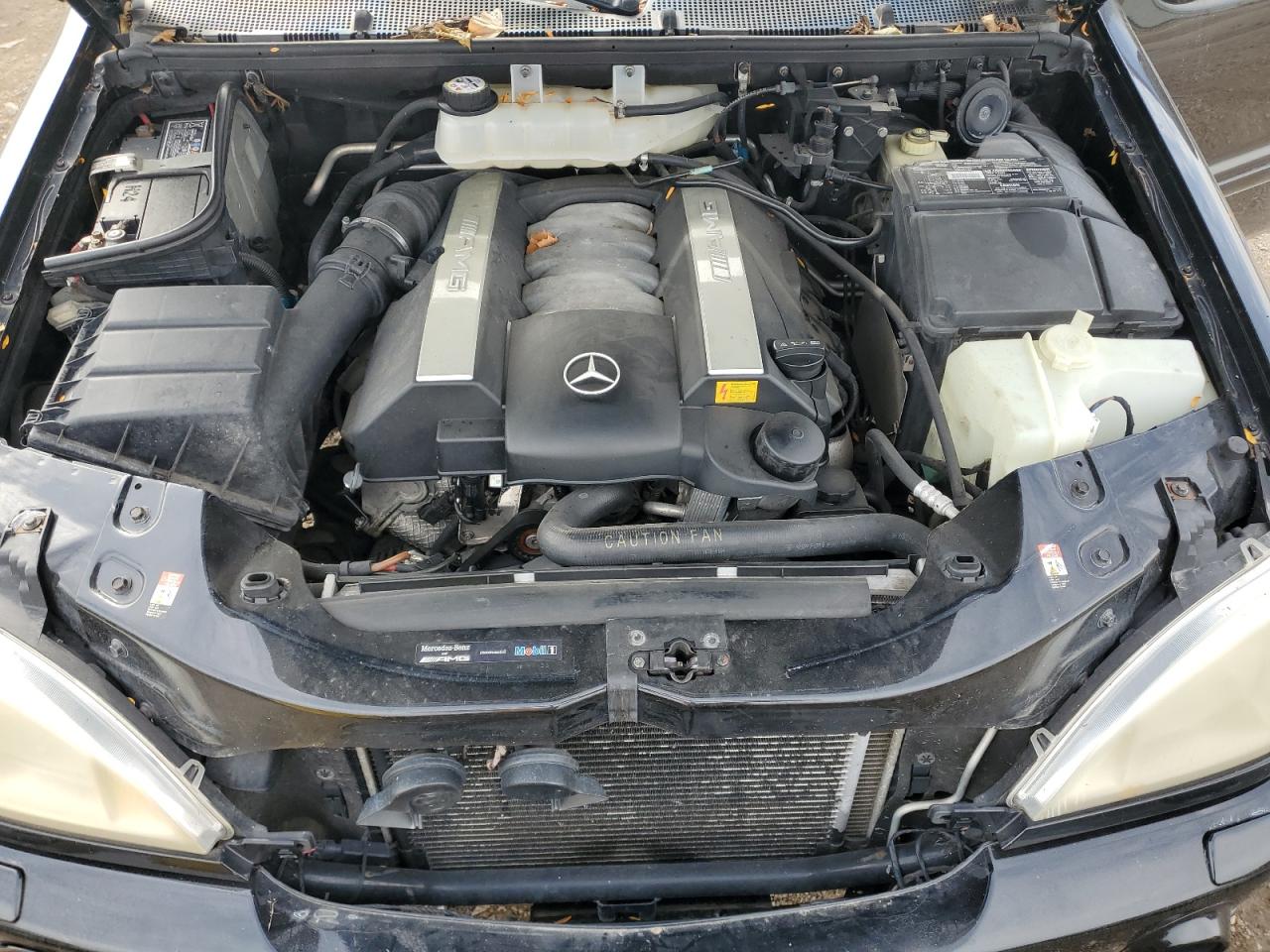 2000 Mercedes-Benz Ml 55 VIN: 4JGAB74EXYA219207 Lot: 82364335