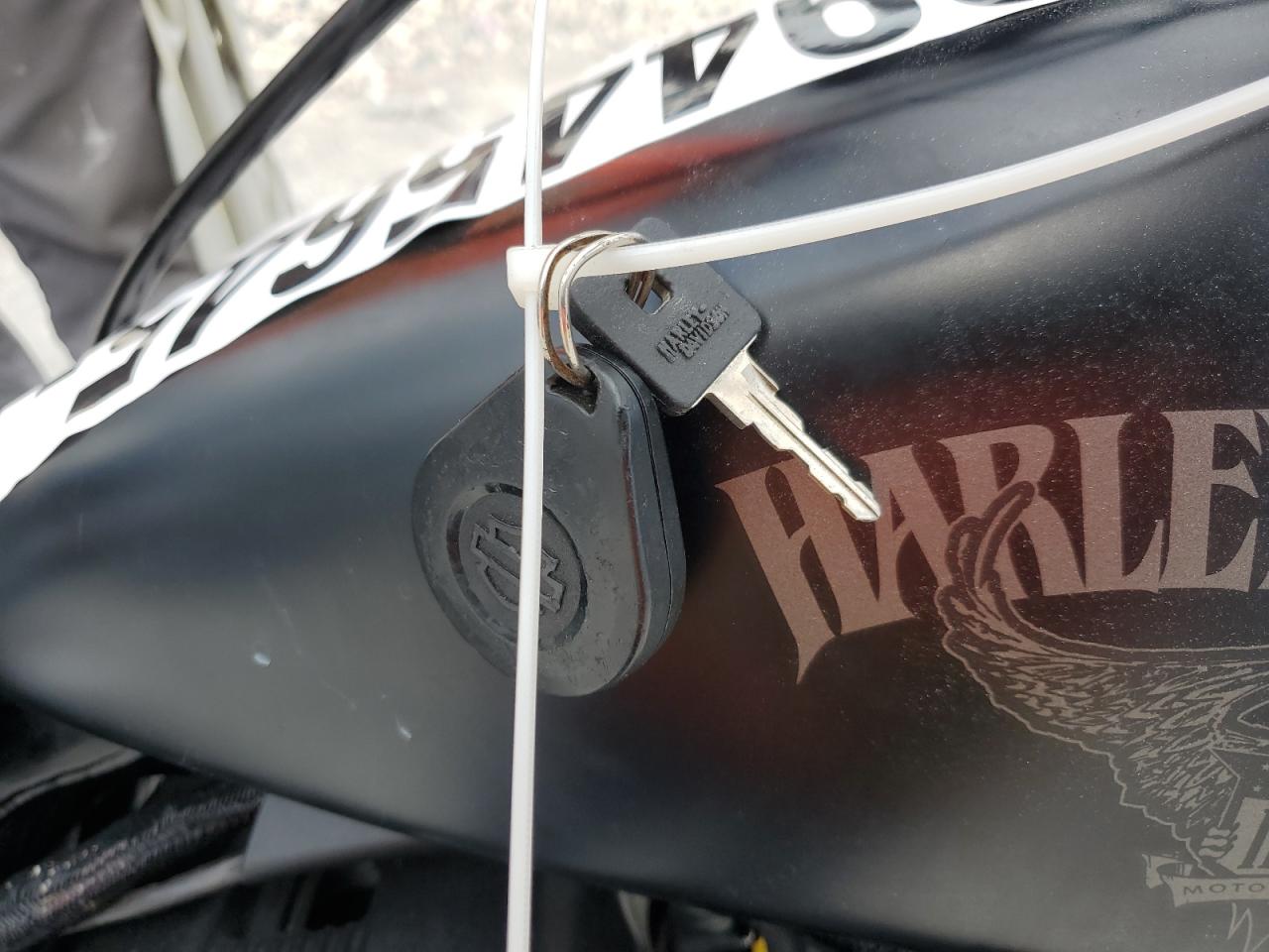 2017 Harley-Davidson Xl883 Iron 883 VIN: 1HD4LE210HC428378 Lot: 89445645