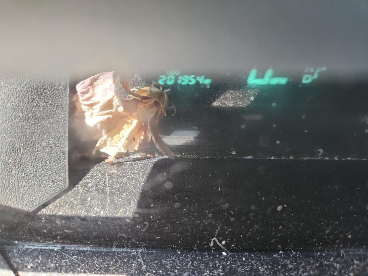 2005 Toyota Prius VIN: JTDKB20U553108508 Lot: 82247295