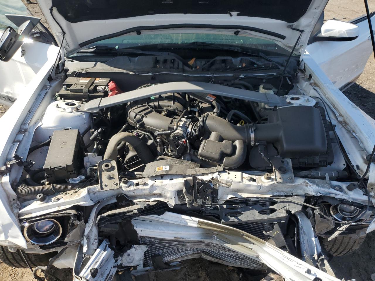 2014 Ford Mustang VIN: 1ZVBP8EM2E5246893 Lot: 85650195