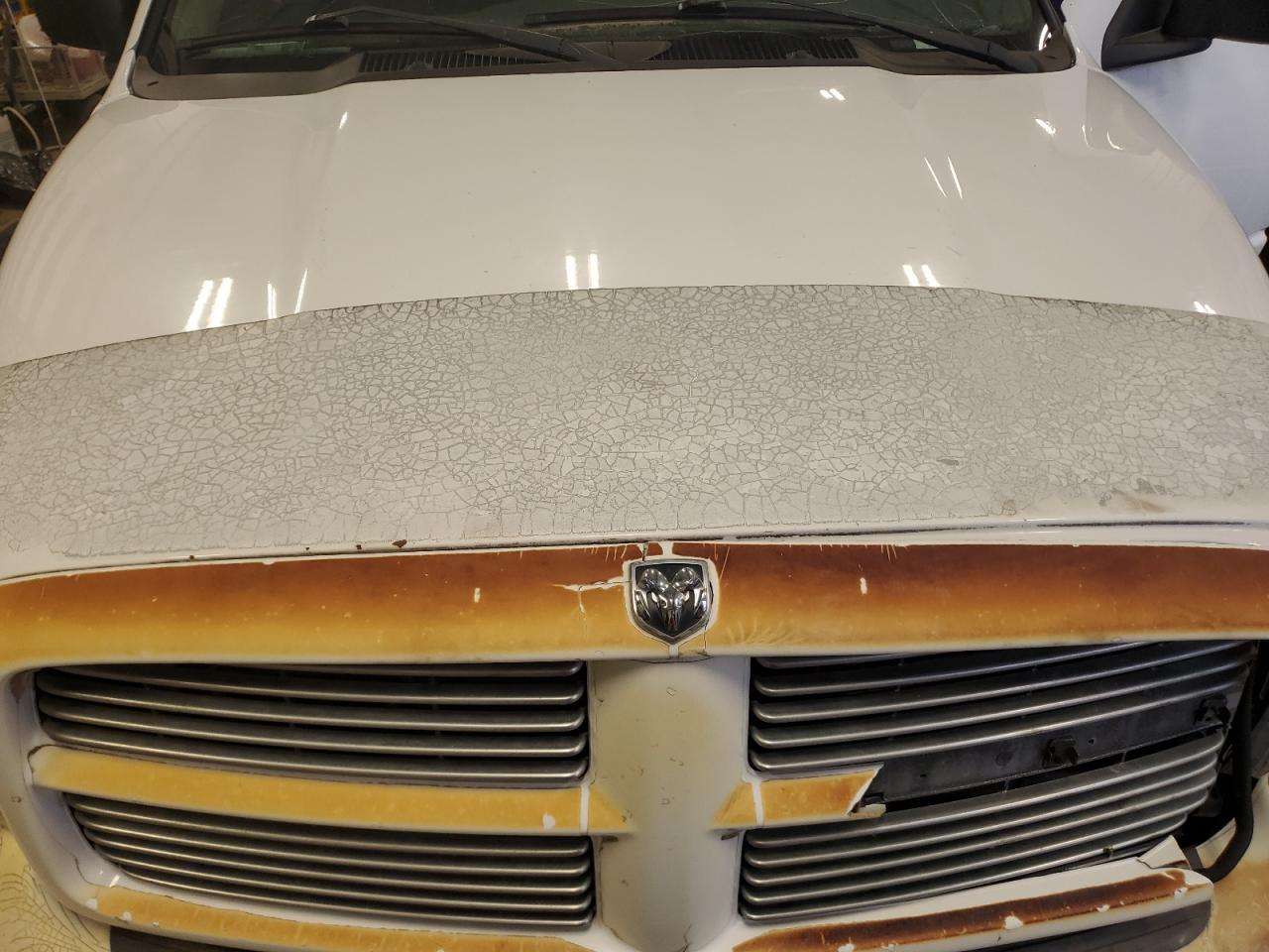 2002 Dodge Ram 1500 VIN: 1B7HU18Z12J108821 Lot: 86268245