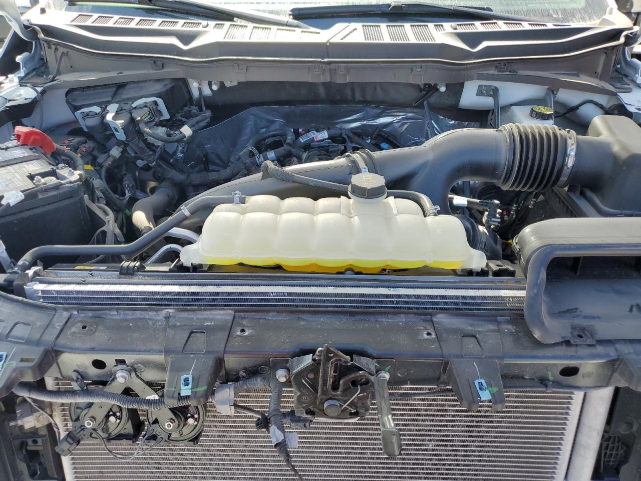 2025 Ford F150 Stx VIN: 1FTEW2LP6SKE40224 Lot: 87462675