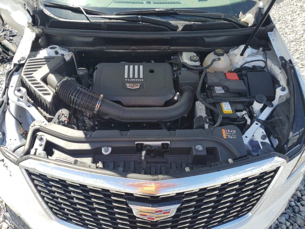 2024 Cadillac Xt5 Premium Luxury VIN: 1GYKNCR45RZ757237 Lot: 85566555