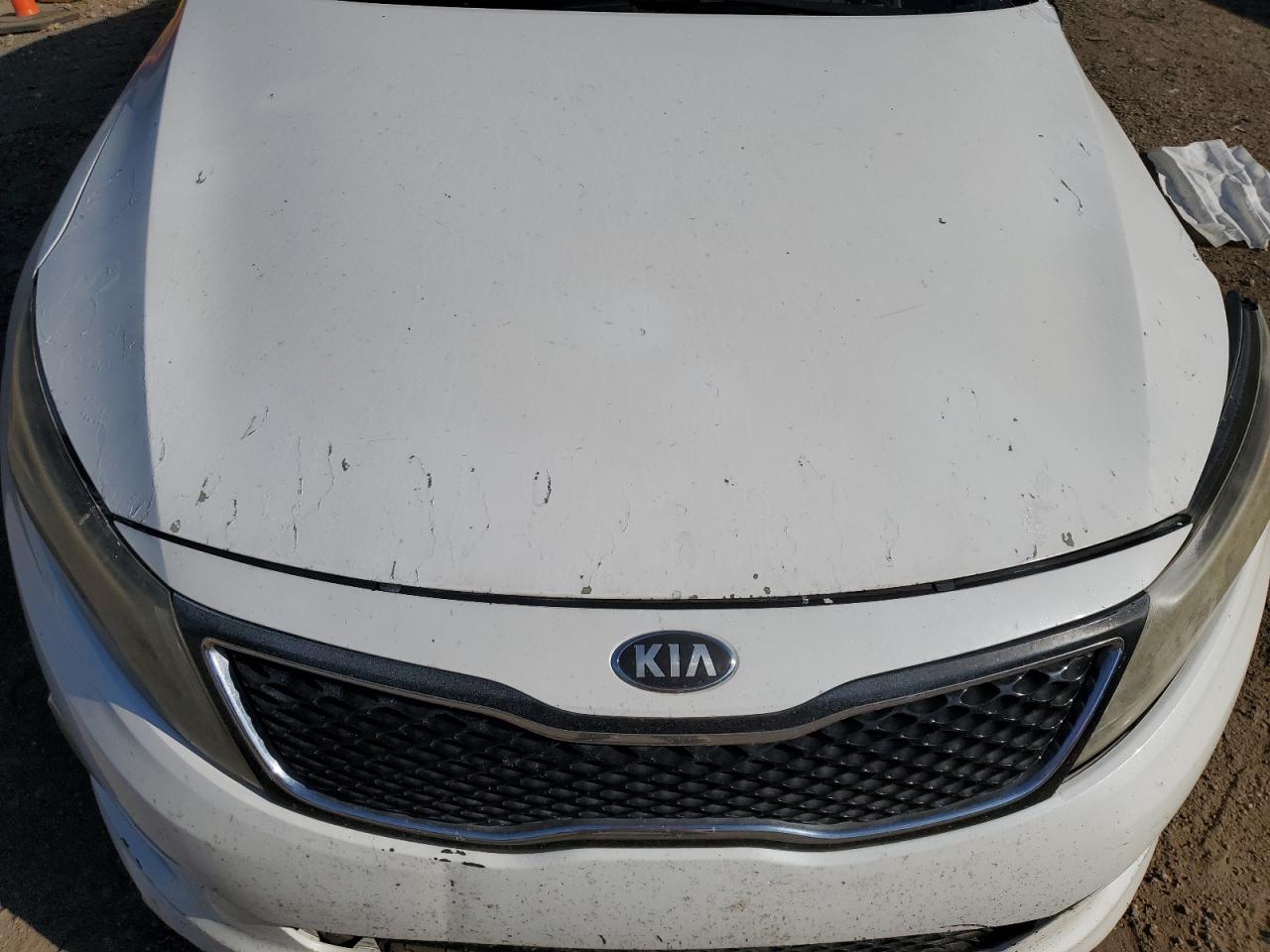 2015 Kia Optima Lx VIN: 5XXGM4A77FG404281 Lot: 81853545
