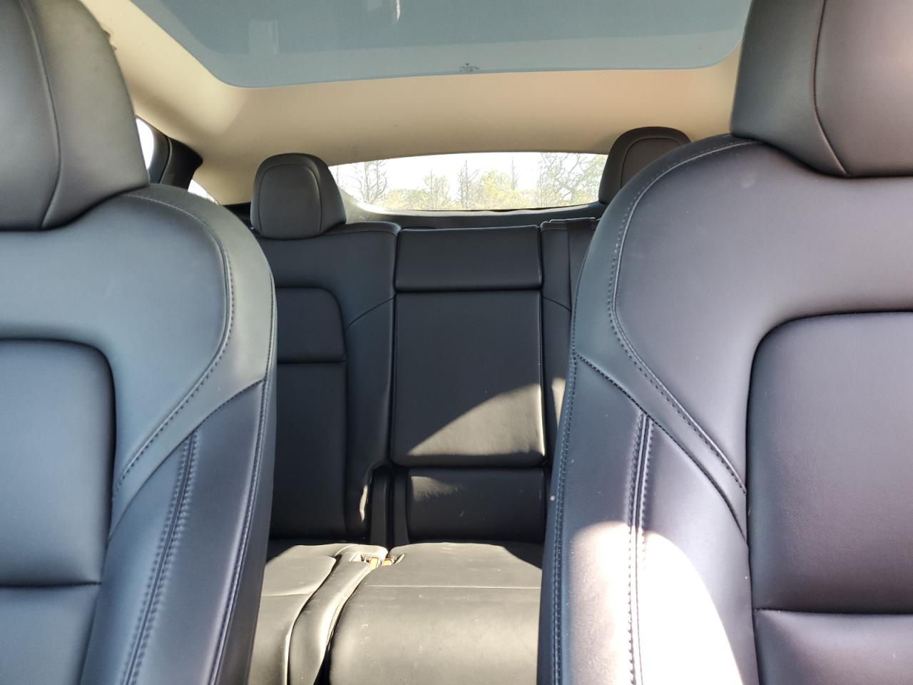 2023 Tesla Model Y VIN: 7SAYGAEE5PF689816 Lot: 86444695